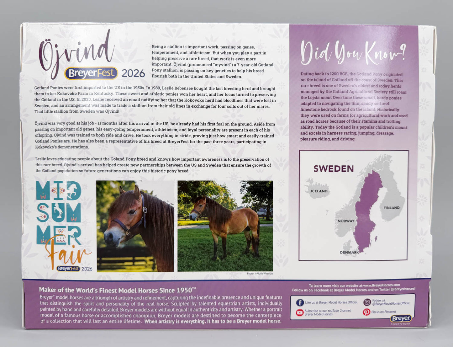 Highland Pony ~ Ojvind - BreyerFest 2026