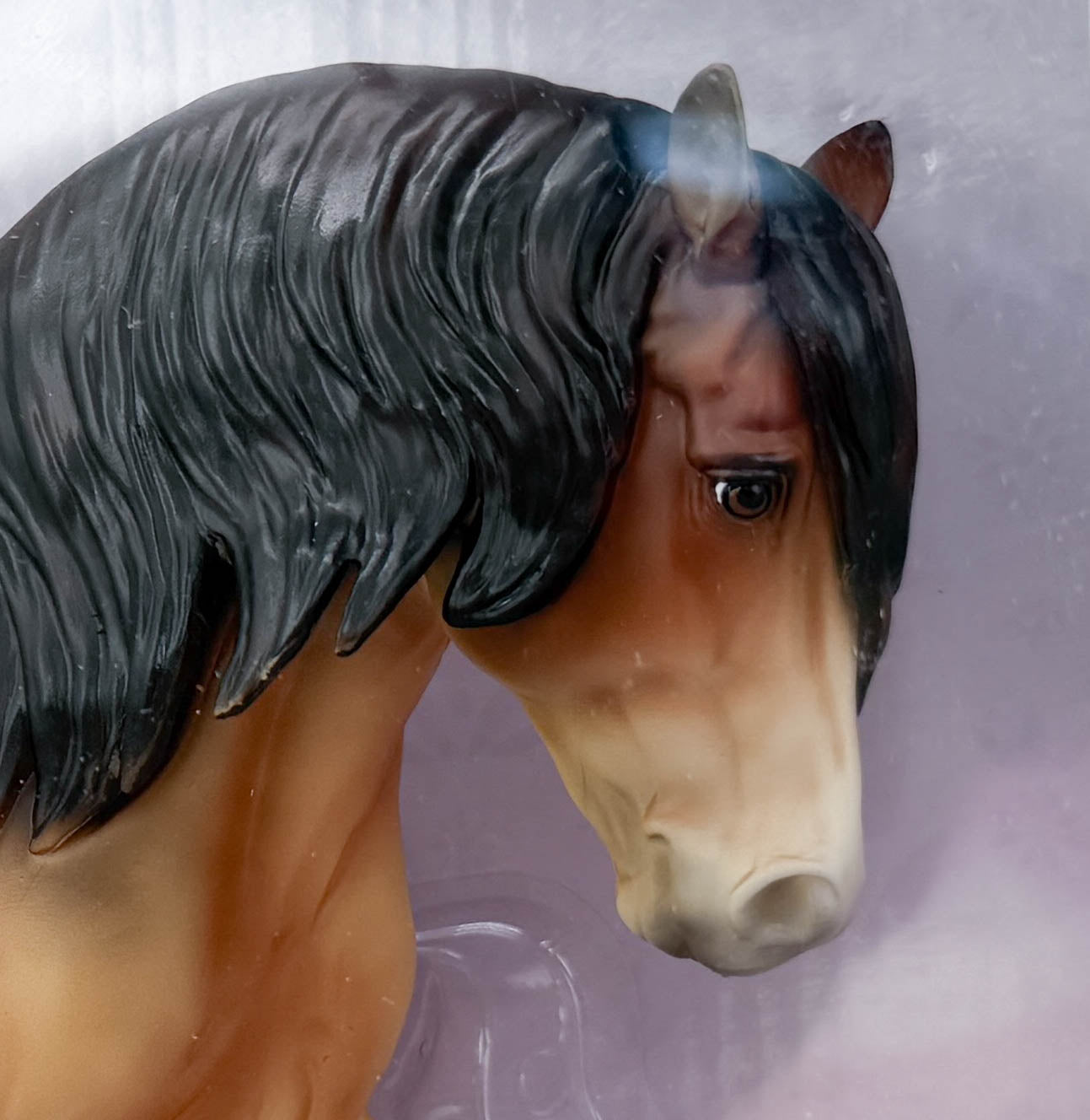 Highland Pony ~ Ojvind - BreyerFest 2026