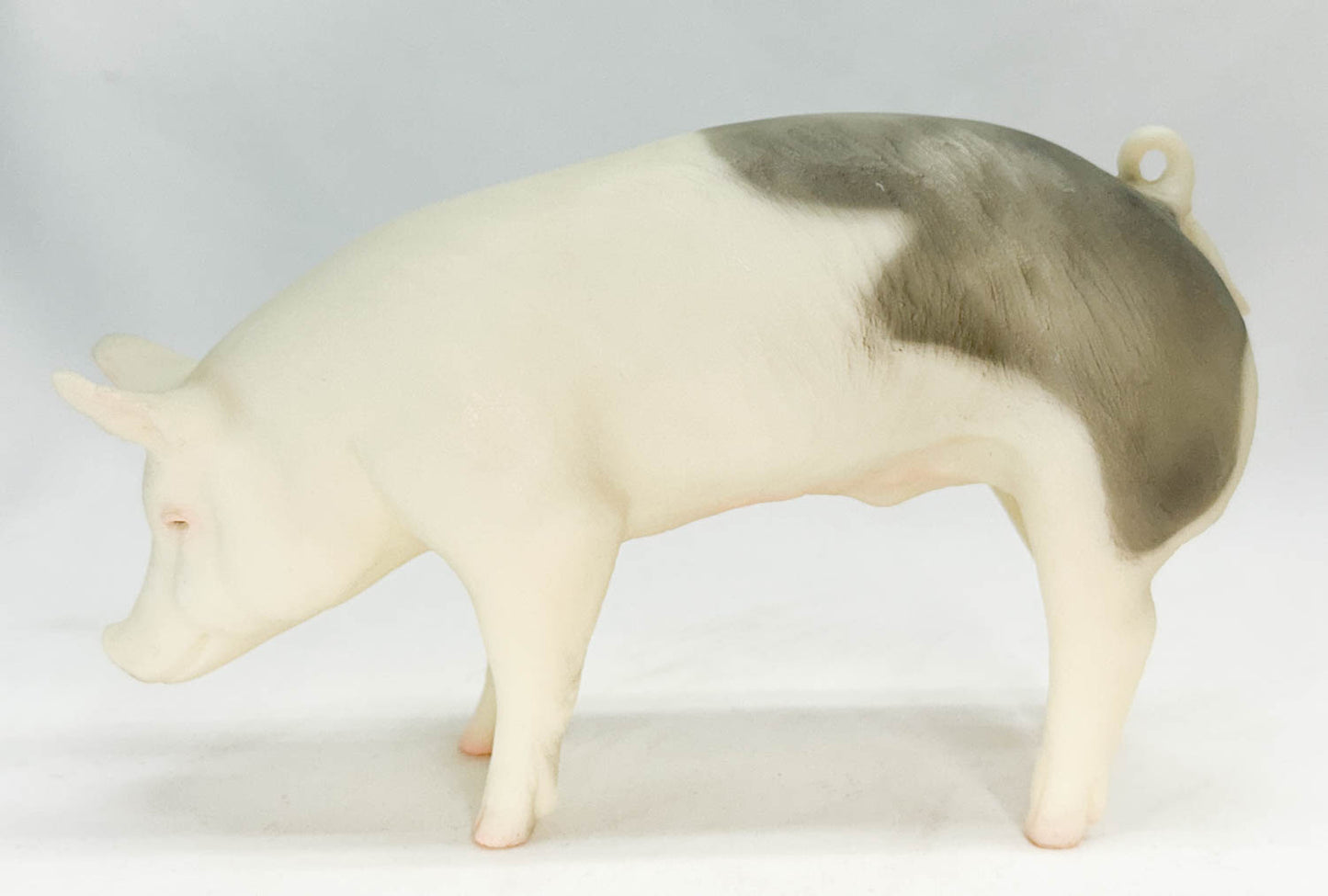 Hog ~ Jasper the Market Hog