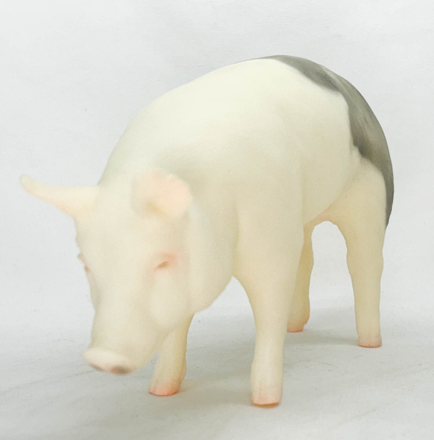 Hog ~ Jasper the Market Hog