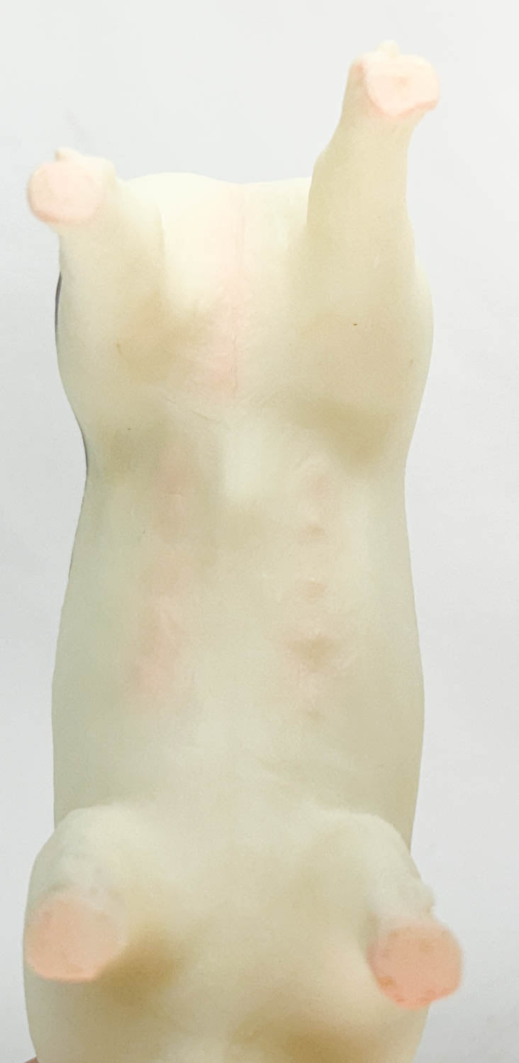 Hog ~ Jasper the Market Hog