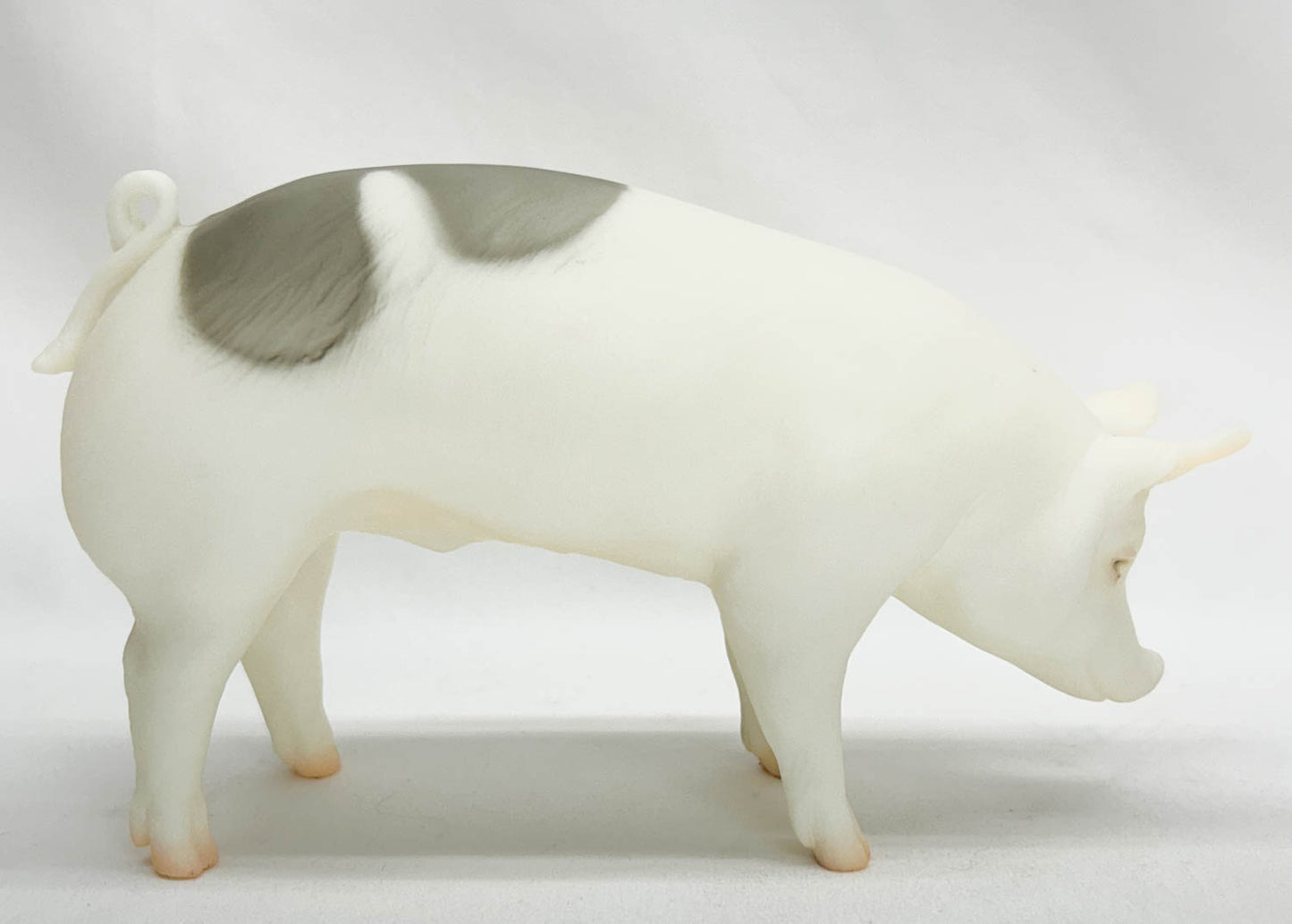 Hog ~ Jasper the Market Hog