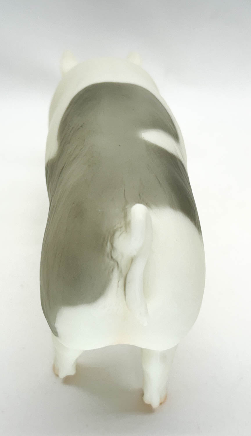 Hog ~ Jasper the Market Hog