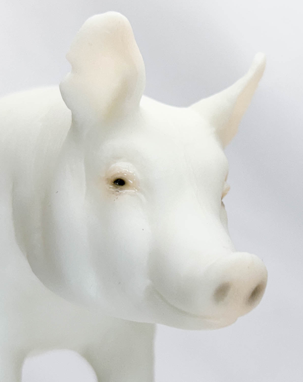 Hog ~ Jasper the Market Hog