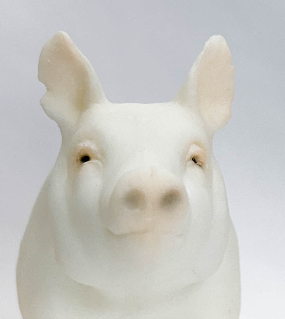 Hog ~ Jasper the Market Hog