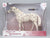 Warmblood Stallion ~ Pyxis av Drommarna - BreyerFest 2026