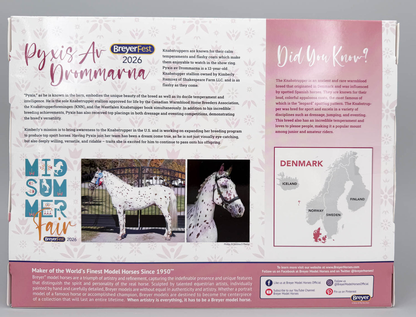 Warmblood Stallion ~ Pyxis av Drommarna - BreyerFest 2026