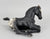 Lying Foal, Black Appaloosa
