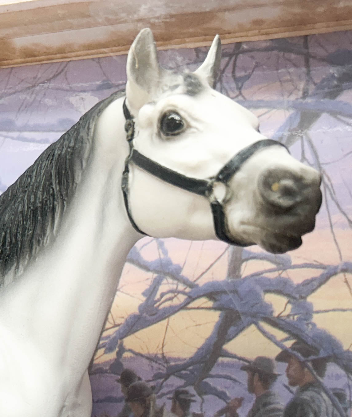 Man O' War ~ General Lee's Traveller