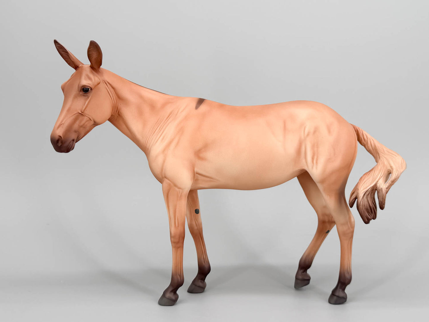 Standing Molly Mule ~ Aquavit - Swish-Tail - BreyerFest 2026 SR