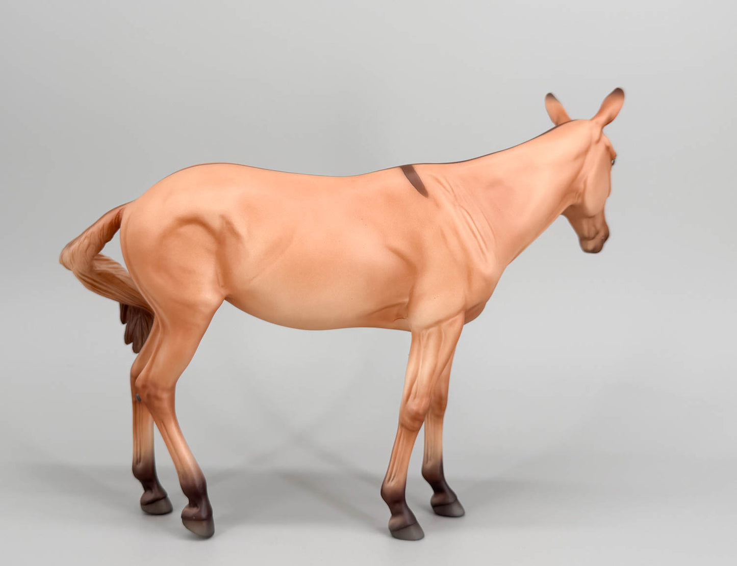 Standing Molly Mule ~ Aquavit - Swish-Tail - BreyerFest 2026 SR