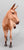Standing Molly Mule ~ Aquavit - Swish-Tail - BreyerFest 2026 SR