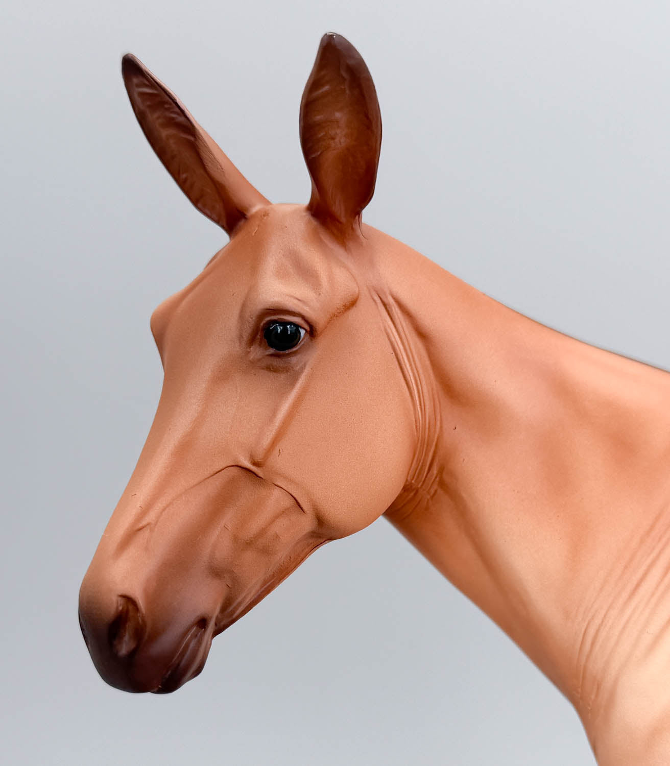 Standing Molly Mule ~ Aquavit - Swish-Tail - BreyerFest 2026 SR