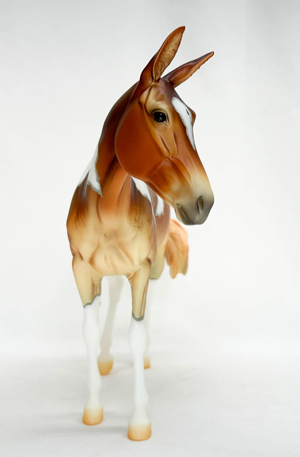 Standing Molly Mule ~ Winnifred - 2025 Premier Club