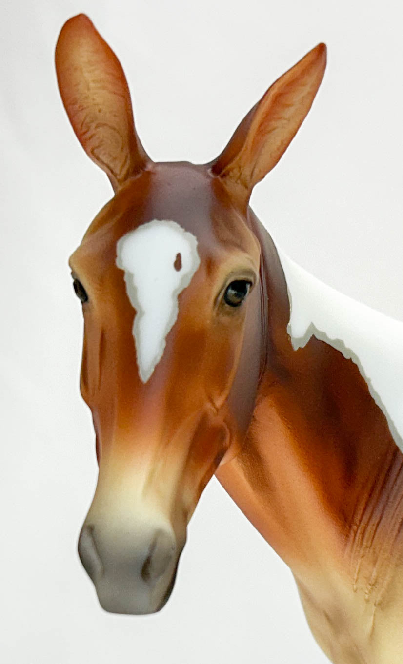 Standing Molly Mule ~ Winnifred - 2025 Premier Club