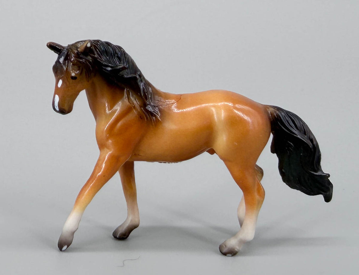 Spanish Barb ~ "Family Stallion" - from 75th Anniversary Advent Calendar