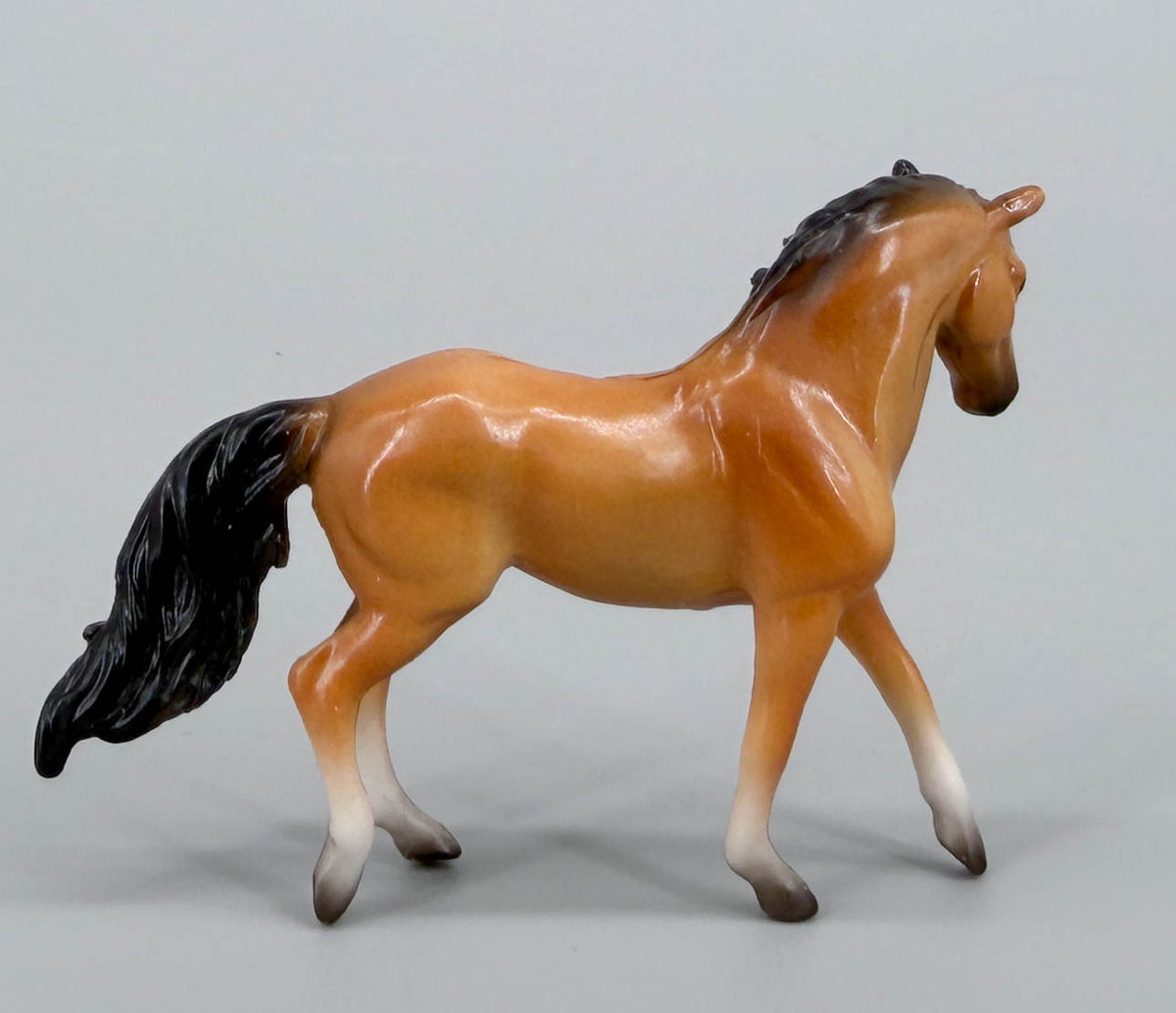 Spanish Barb ~ "Family Stallion" - from 75th Anniversary Advent Calendar