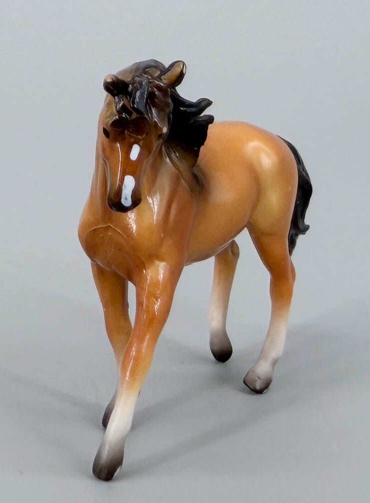 Spanish Barb ~ "Family Stallion" - from 75th Anniversary Advent Calendar