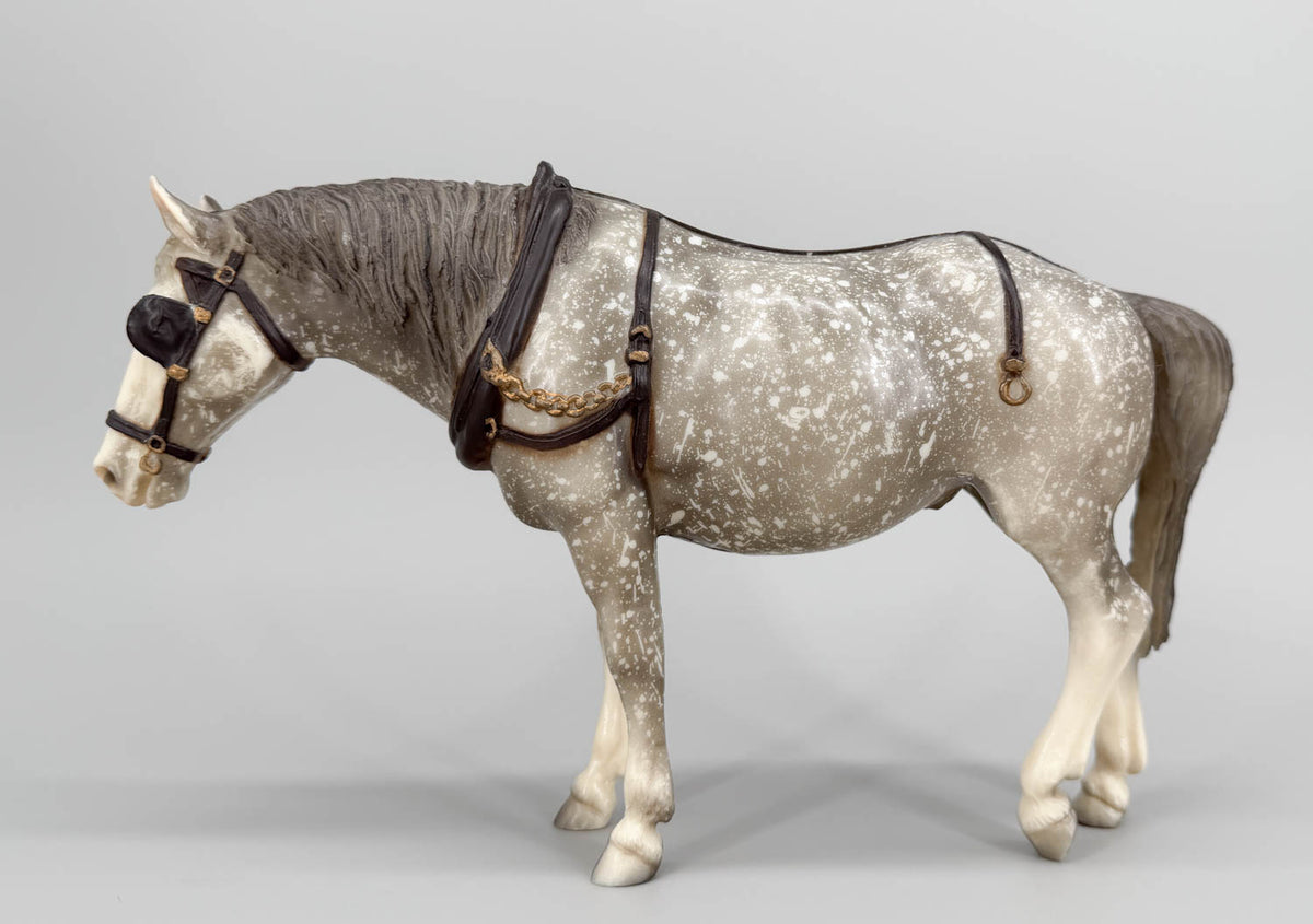 Old Timer, Dapple Grey - Glossy