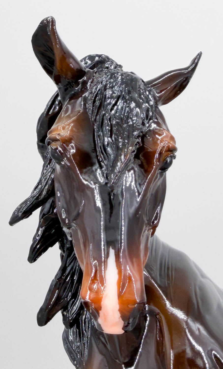 Othello ~ Oseberg - GLOSSY - BreyerFest 2026 SR