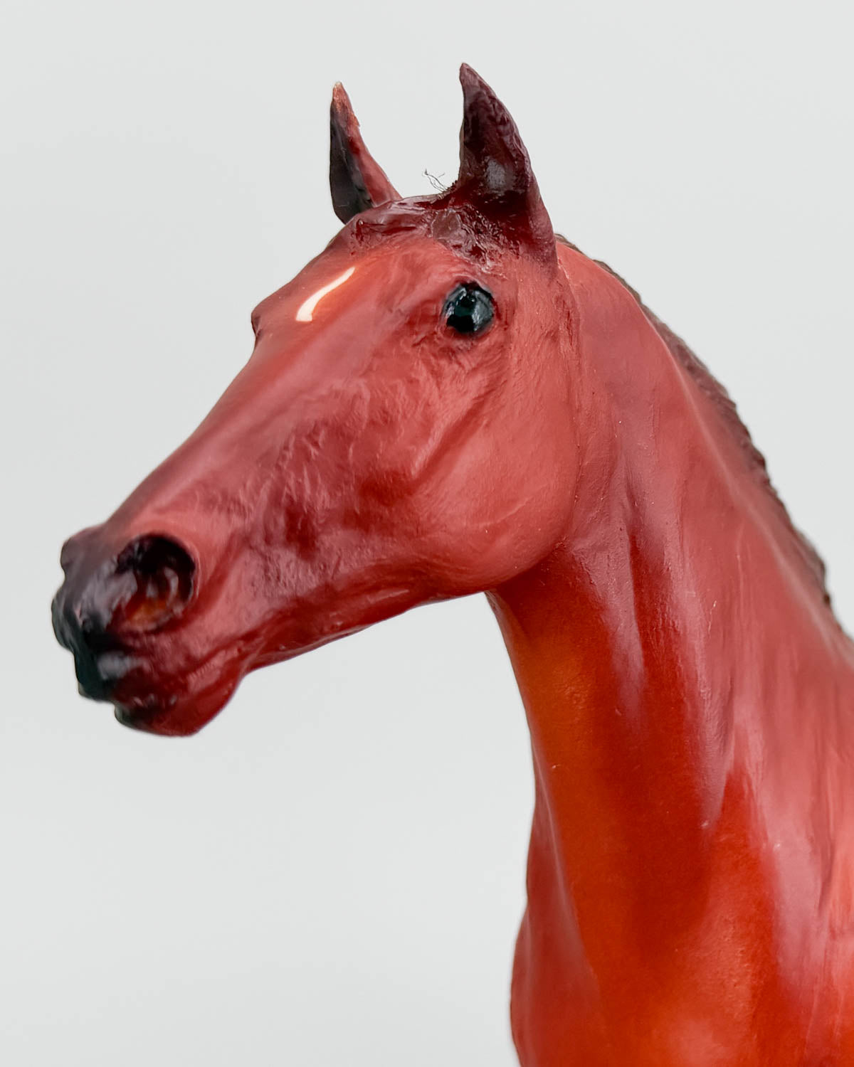Phar Lap, Famous Racehorse