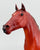 Phar Lap, Famous Racehorse