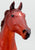 Phar Lap, Famous Racehorse