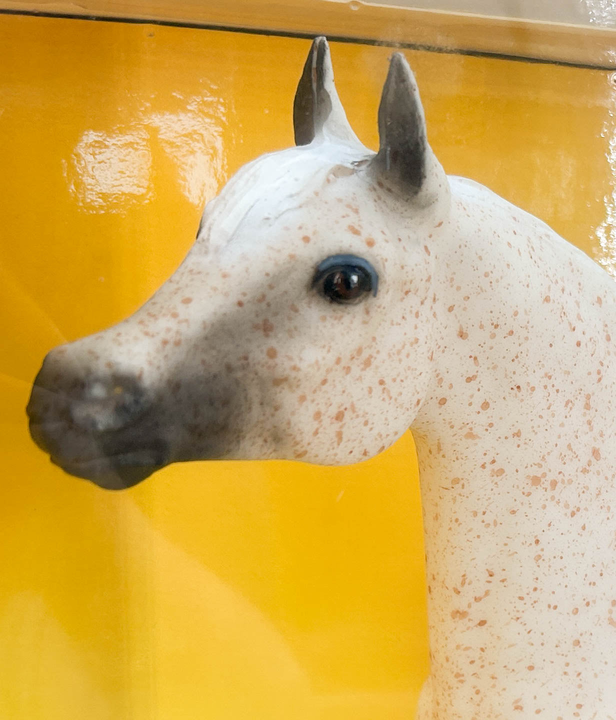Proud Arabian Stallion ~ Freedom - Legend of the Bloody Shoulder Arabian