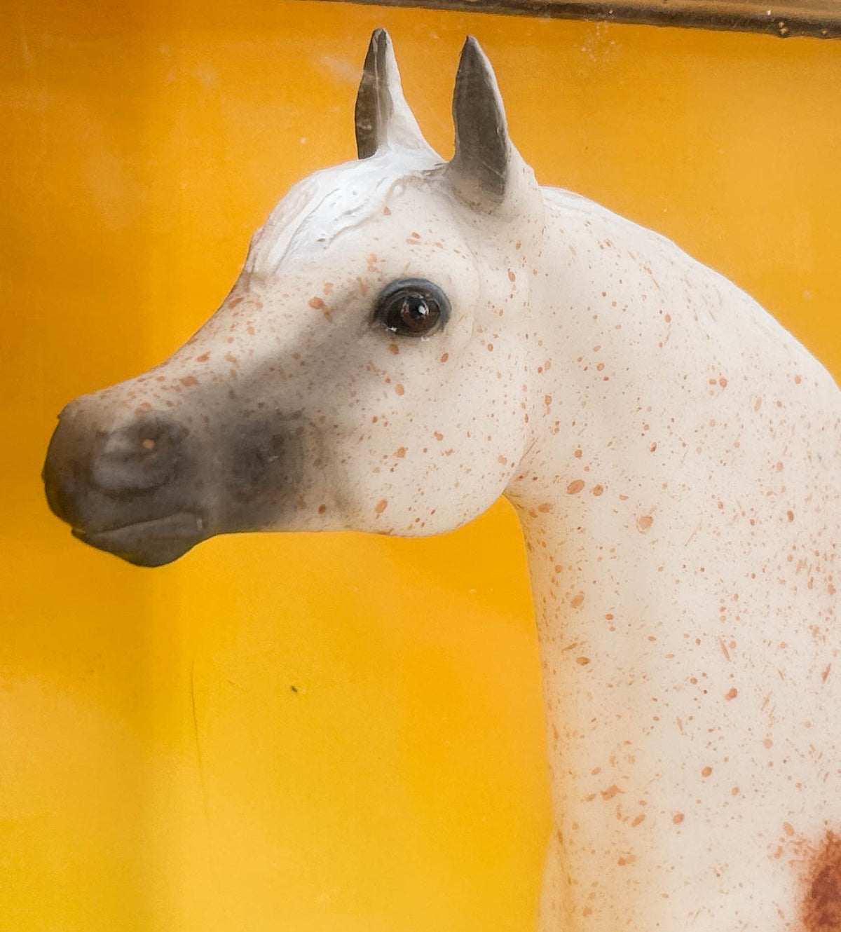 Proud Arabian Stallion ~ Freedom - Legend of the Bloody Shoulder Arabian