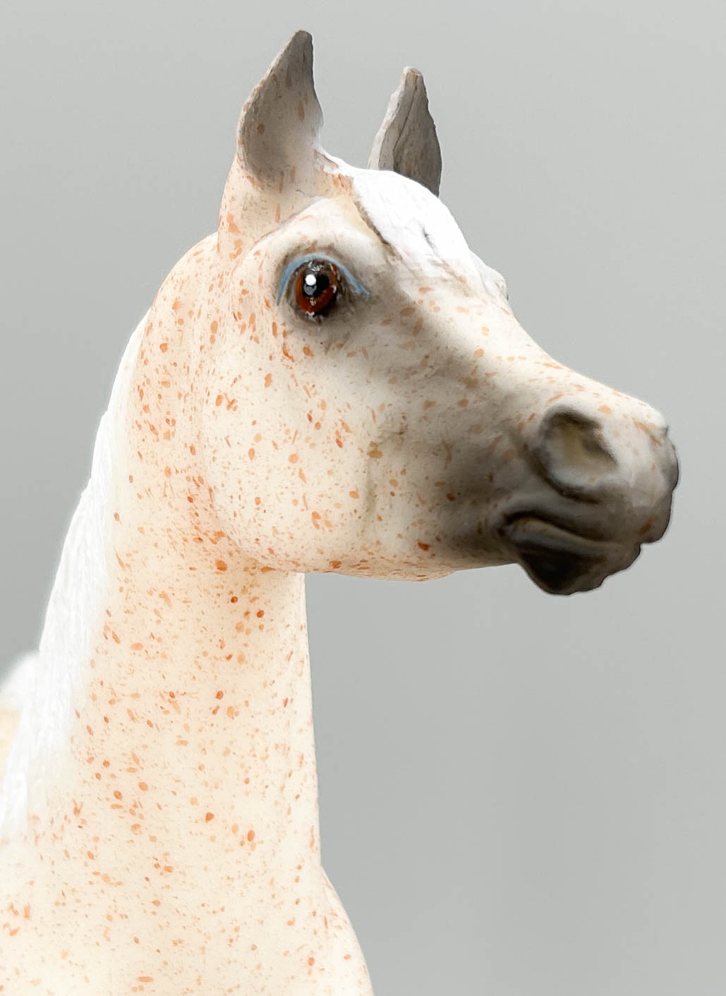 Proud Arabian Stallion ~ Freedom - Legend of the Bloody Shoulder Arabian