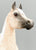 Proud Arabian Stallion ~ Freedom - Legend of the Bloody Shoulder Arabian