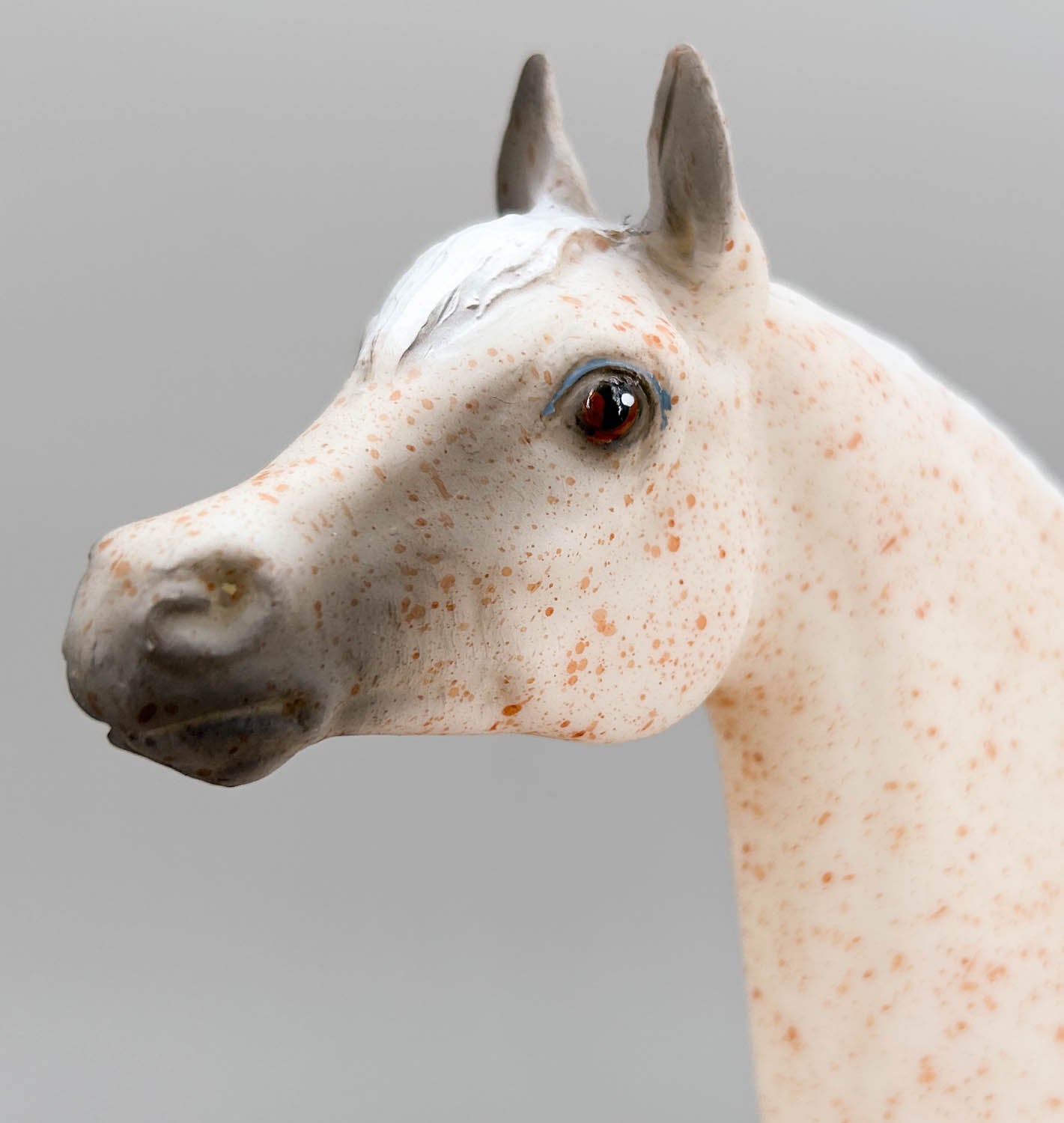 Proud Arabian Stallion ~ Freedom - Legend of the Bloody Shoulder Arabian