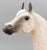 Proud Arabian Stallion ~ Freedom - Legend of the Bloody Shoulder Arabian