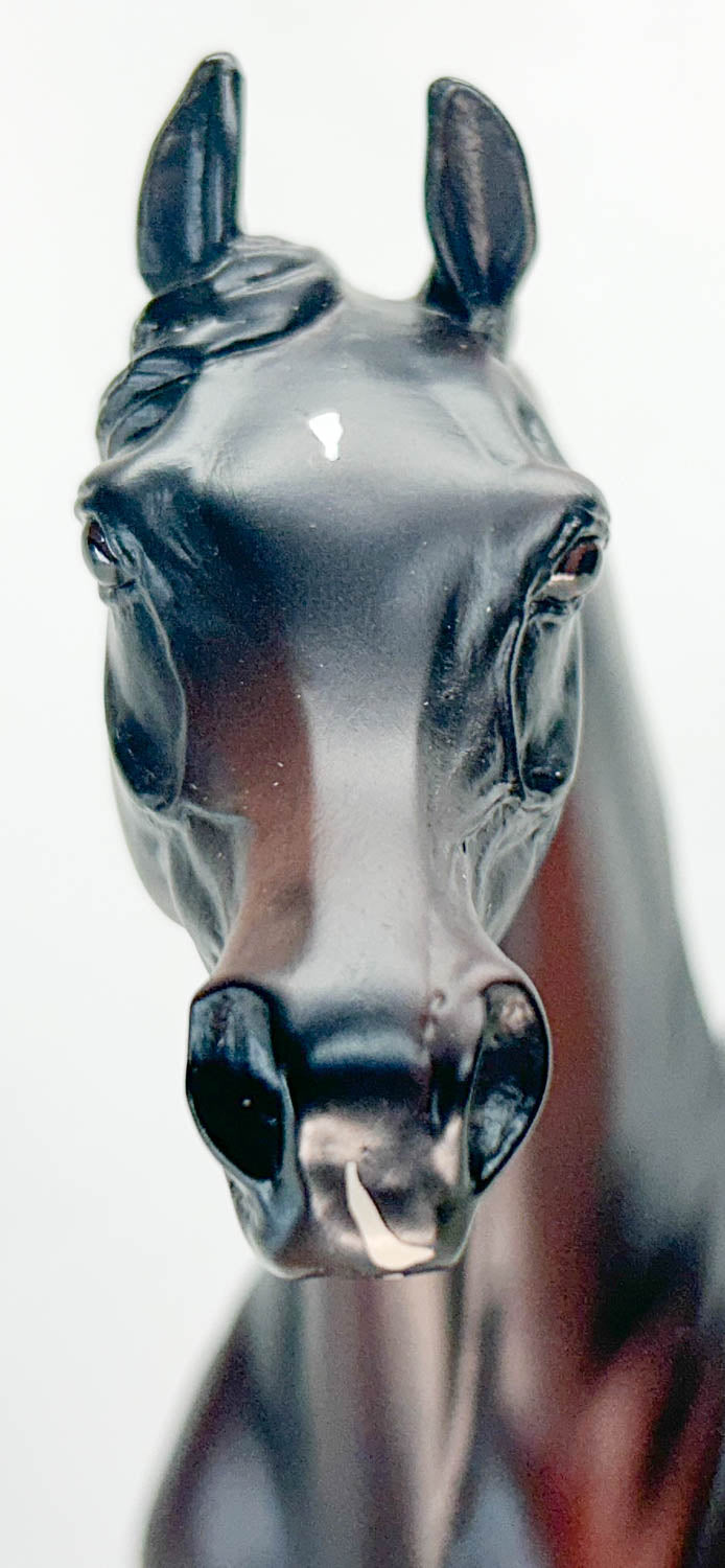 Arabian - Original ~ Hearrts On Fire