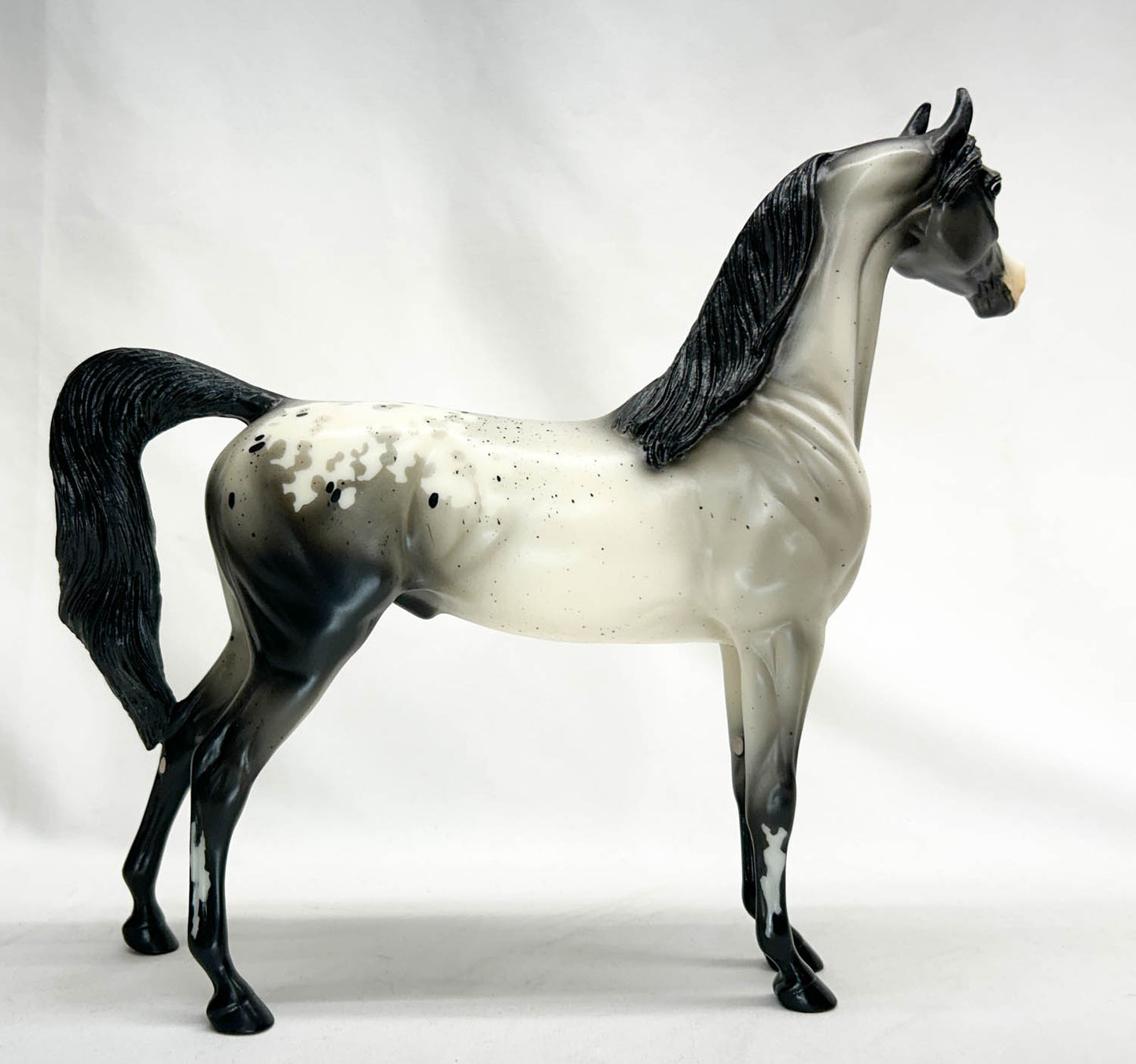 Arabian ~ Picasso - 6-Month Release - Signed