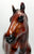 Ideal Stock Horse ~ Woody - Woodgrain (Long mane and tail version)