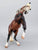 Rearing Andalusian Mare ~ Carmen - GLOSSY - 2026 Premier Club - Extra Detailing!