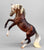 Rearing Andalusian Mare ~ Carmen - MATTE - 2026 Premier Club