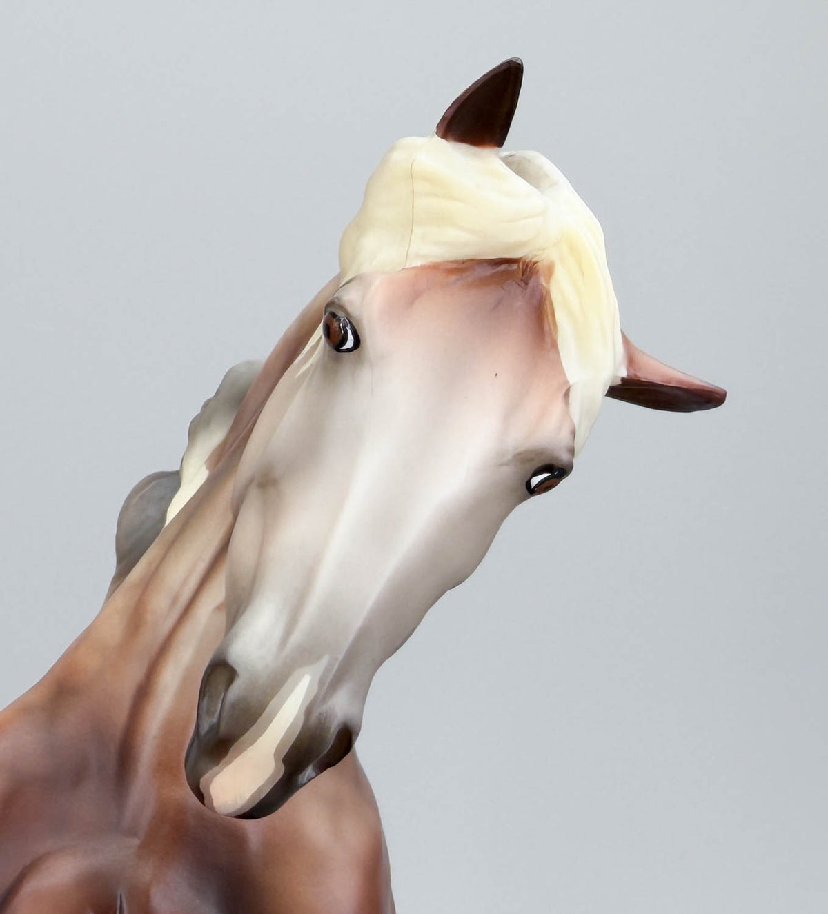 Rearing Andalusian Mare ~ Carmen - MATTE - 2026 Premier Club