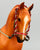 2000 Holiday Horse - Roemer ~ Holiday Hunt (body)