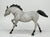 Running Stallion & Scratching Foal ~ Sentinel & Echo - 2026 Vintage Club