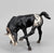 Scratching Foal, Black Appaloosa