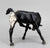 Scratching Foal, Black Appaloosa