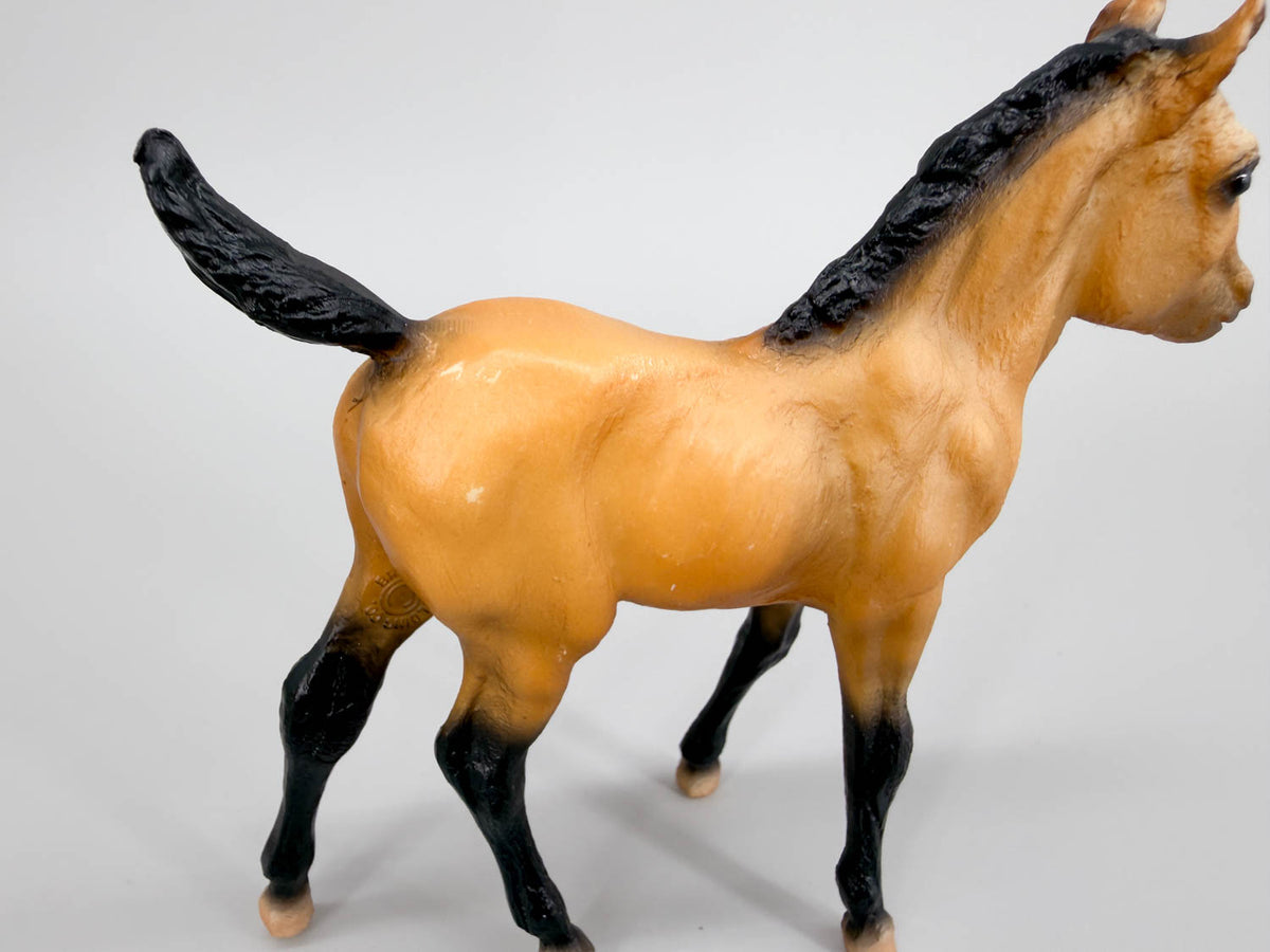 Sea Star ~ Chincoteague Foal, Buckskin