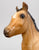 Sea Star ~ Chincoteague Foal, Buckskin