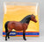 Shetland Pony, Bay w/ Slant-Wall Box