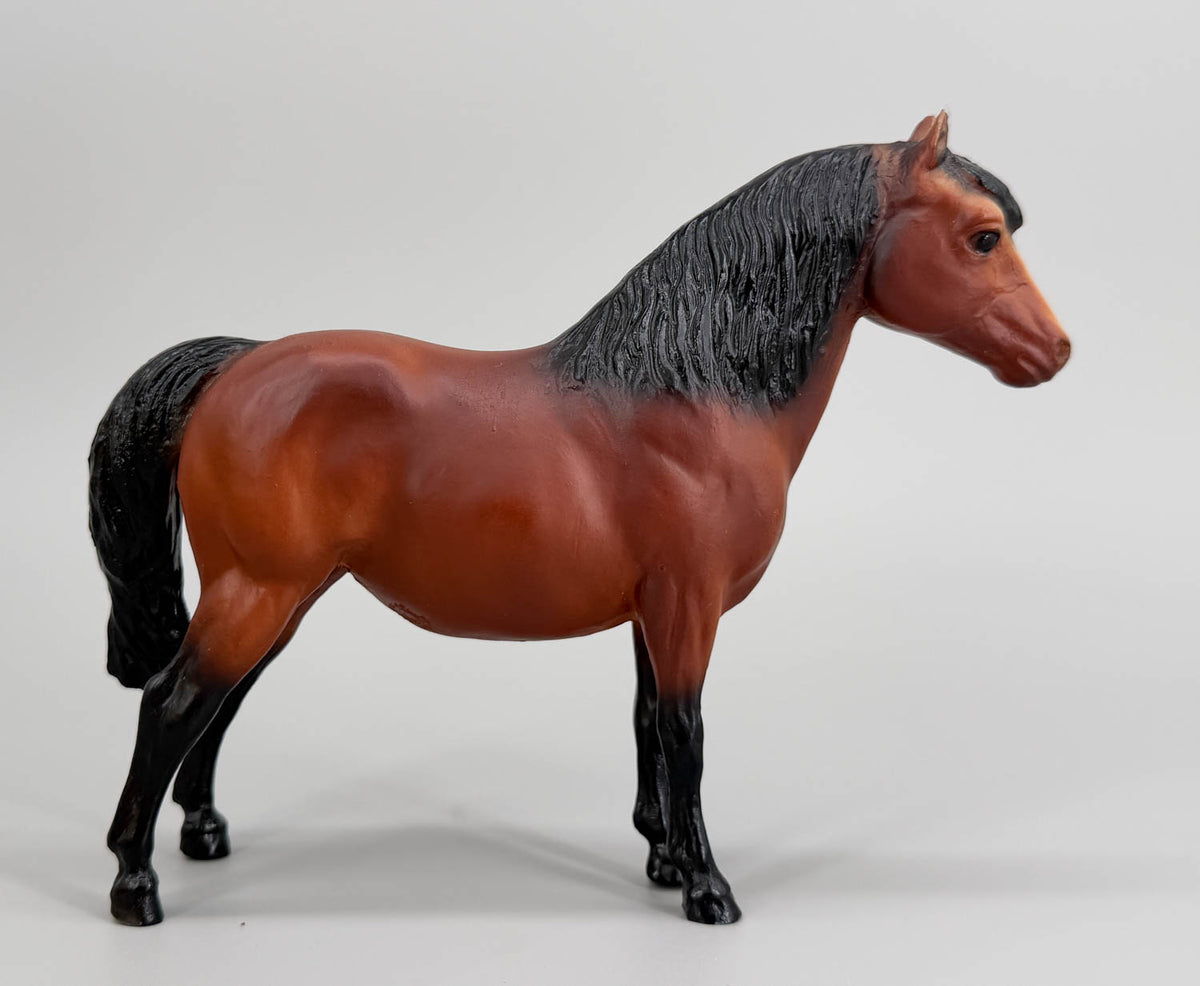 Shetland Pony, Bay w/ Slant-Wall Box