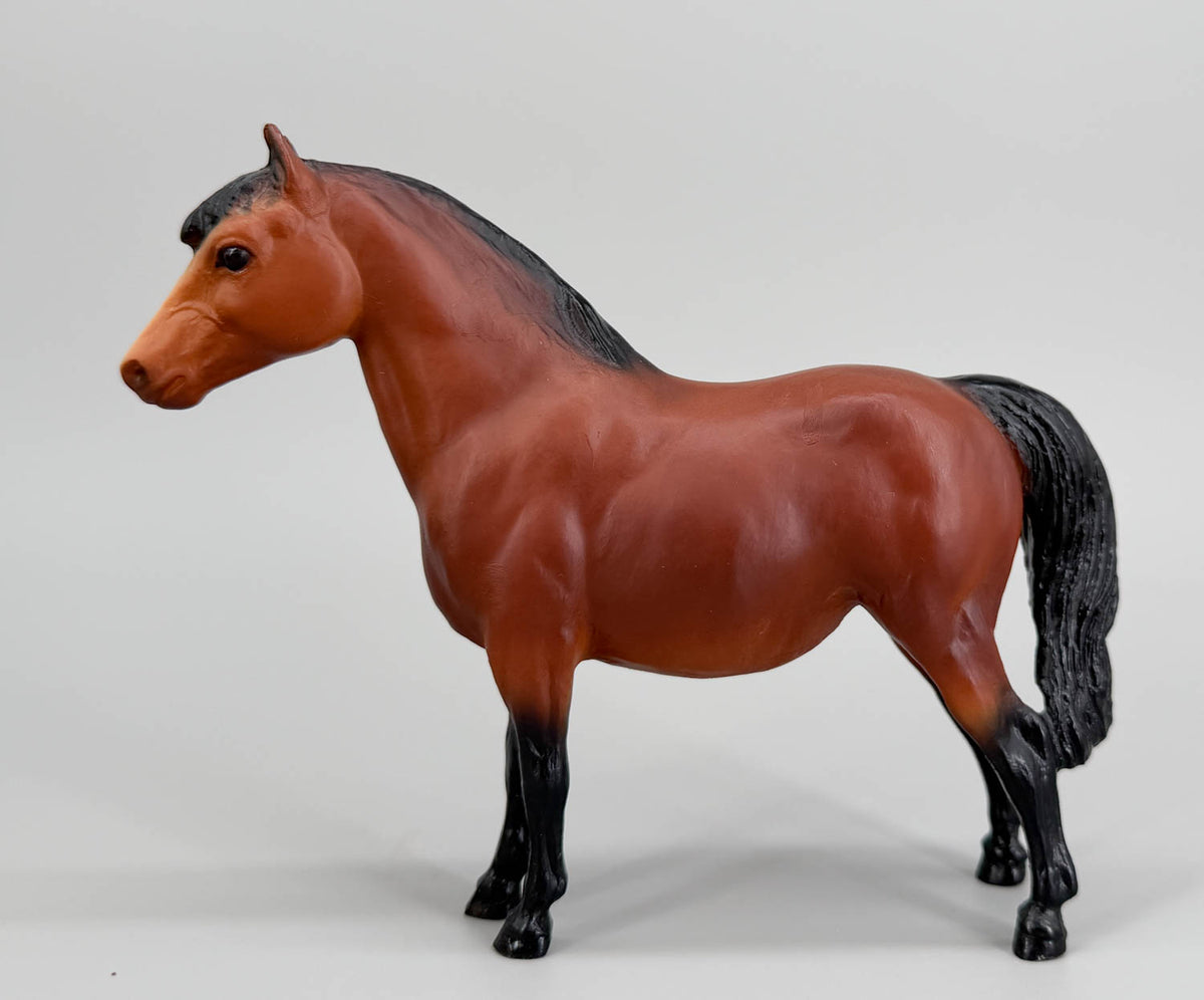 Shetland Pony, Bay w/ Slant-Wall Box