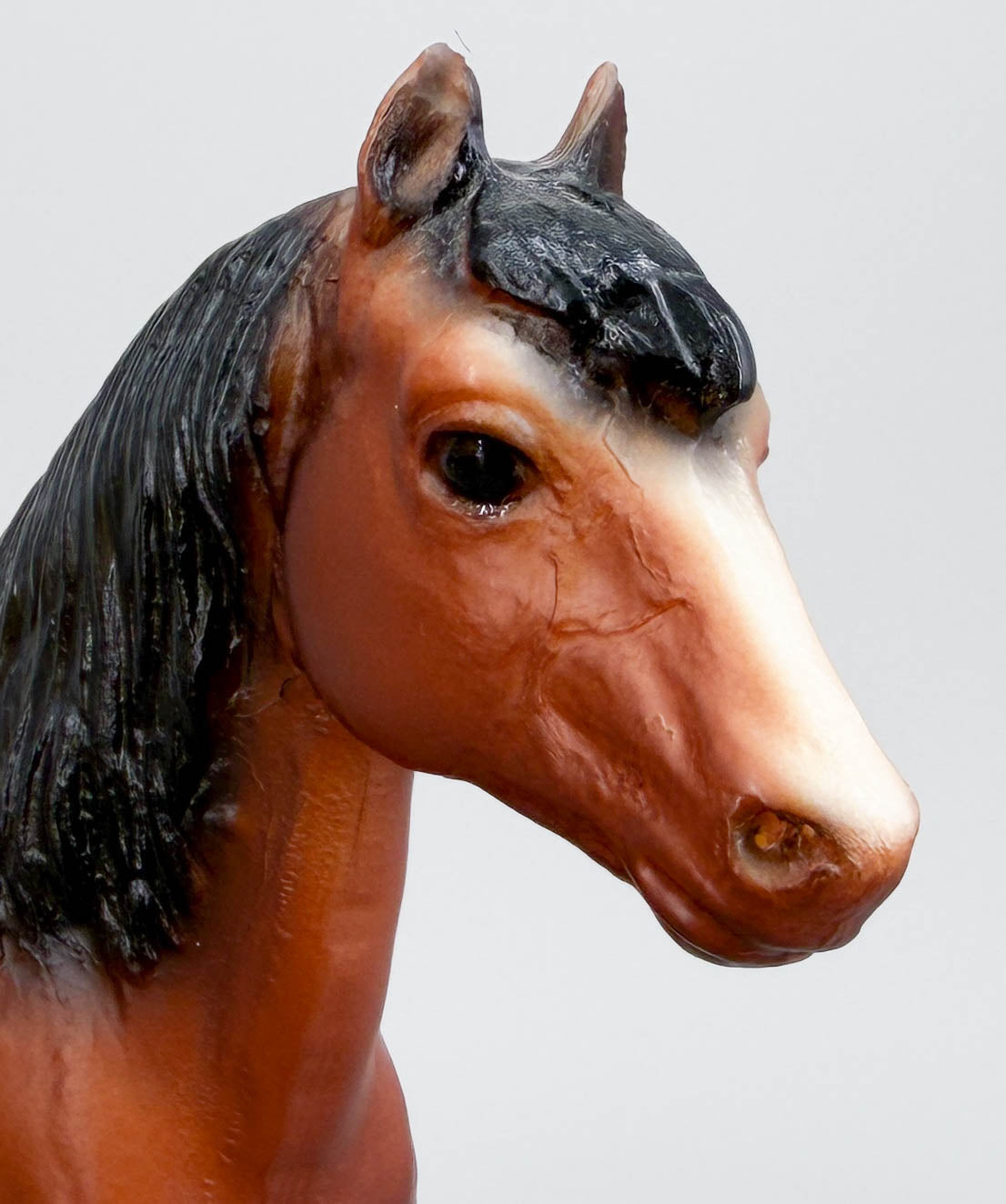 Shetland Pony, Bay w/ Slant-Wall Box