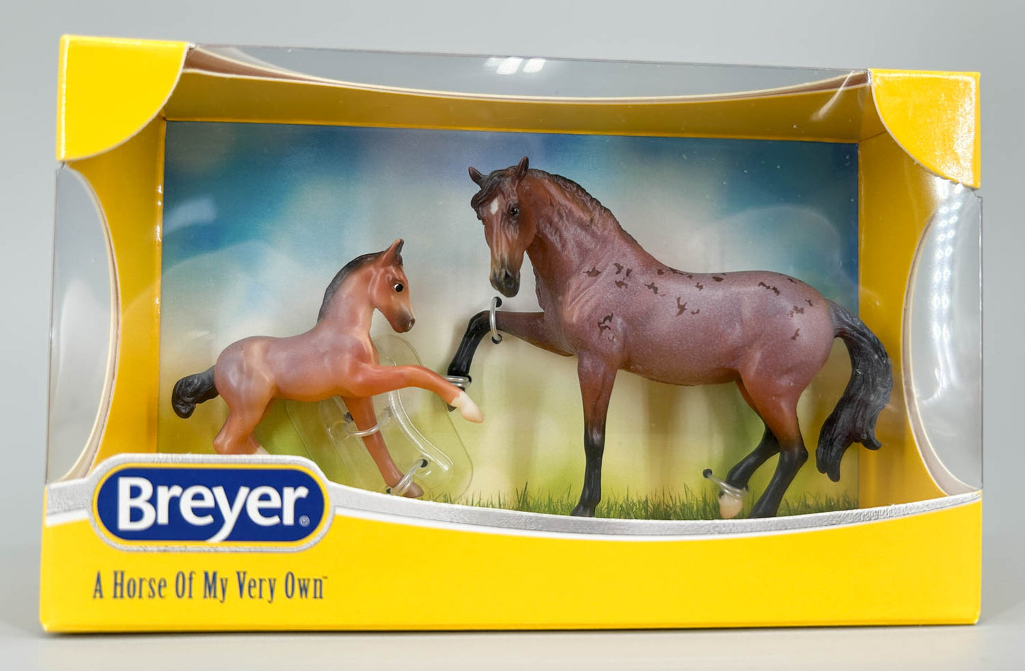 Andalusian Stallion & Frisky Foal ~ Arroyo & Baja - 2026 SM Club